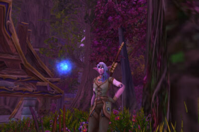 How Transmog Turned WoW Into One of the Largest Fashion Games Online